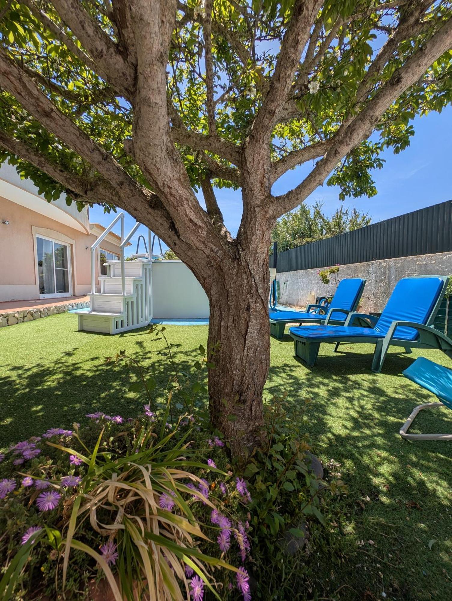 Apartamento Sagres Sunset エクステリア 写真